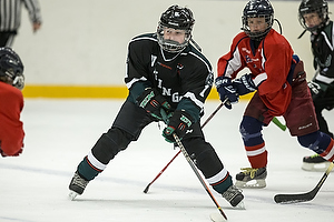 Klik for at se eller bestil foto