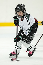 Klik for at se eller bestil foto