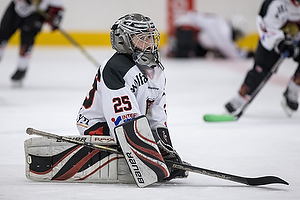 Klik for at se eller bestil foto