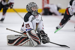 Klik for at se eller bestil foto