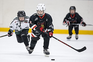 Klik for at se eller bestil foto