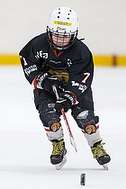 Klik for at se eller bestil foto