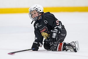 Klik for at se eller bestil foto