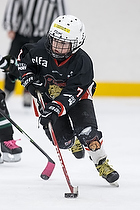 Klik for at se eller bestil foto