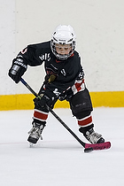 Klik for at se eller bestil foto