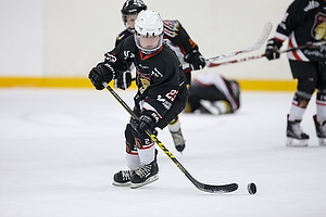 Klik for at se eller bestil foto