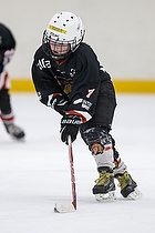 Klik for at se eller bestil foto