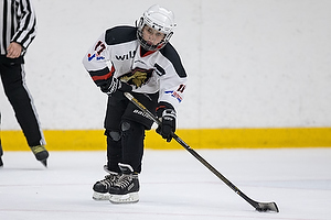 Klik for at se eller bestil foto