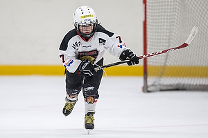 Klik for at se eller bestil foto