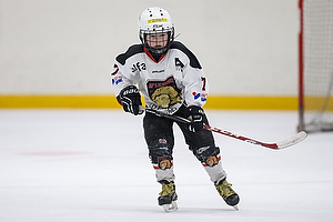 Klik for at se eller bestil foto