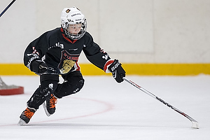 Klik for at se eller bestil foto