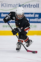 Klik for at se eller bestil foto