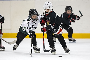 Klik for at se eller bestil foto