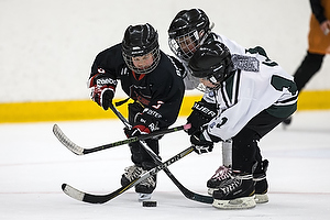 Klik for at se eller bestil foto