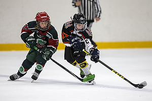 Klik for at se eller bestil foto