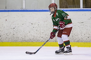 Klik for at se eller bestil foto