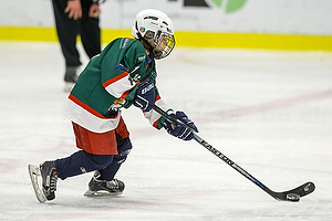 Klik for at se eller bestil foto