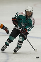 Klik for at se eller bestil foto