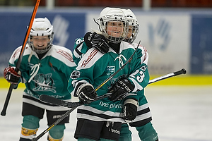 Klik for at se eller bestil foto