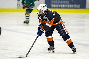 Klik for at se eller bestil foto