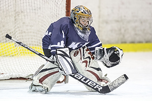 Klik for at se eller bestil foto