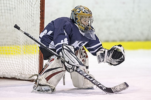 Klik for at se eller bestil foto