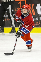 Klik for at se eller bestil foto