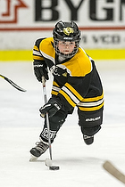 Klik for at se eller bestil foto