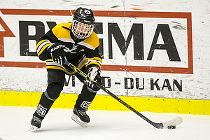 Klik for at se eller bestil foto