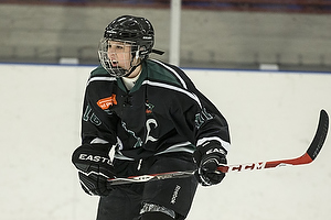 Klik for at se eller bestil foto