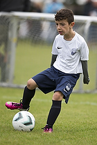 Klik for at se eller bestil foto