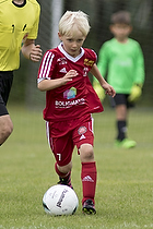 Klik for at se eller bestil foto