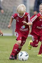 Klik for at se eller bestil foto