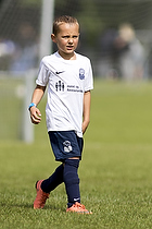 Klik for at se eller bestil foto