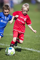 Klik for at se eller bestil foto