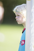 Klik for at se eller bestil foto