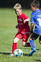 Klik for at se eller bestil foto