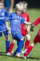 Klik for at se eller bestil foto