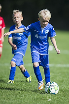 Klik for at se eller bestil foto