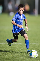 Klik for at se eller bestil foto