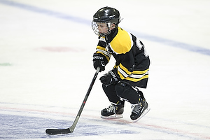 Klik for at se eller bestil foto