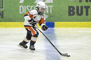 Klik for at se eller bestil foto