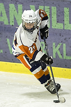 Klik for at se eller bestil foto