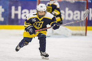 Klik for at se eller bestil foto