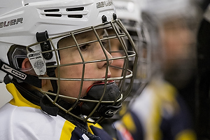 Klik for at se eller bestil foto