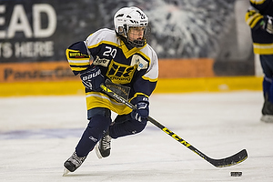 Klik for at se eller bestil foto