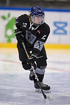 Niklas Frahm Ingvertsen (Vojens IK)