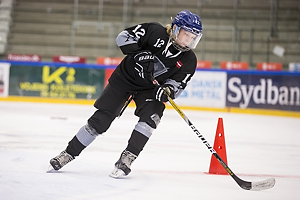 Niklas Frahm Ingvertsen (Vojens IK)