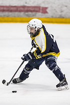 Klik for at se eller bestil foto