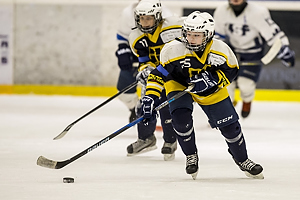 Klik for at se eller bestil foto